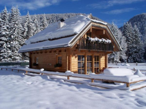 Гостиница Alpi Giulie Chalets  Malborghetto Valbruna